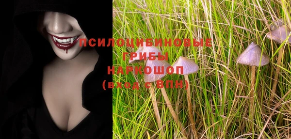 ешки Арсеньев