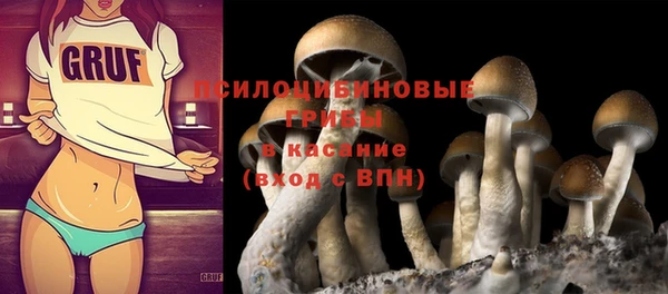 спайс Аркадак
